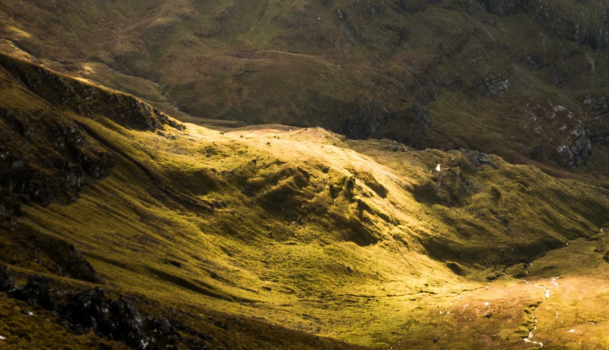 grass hills