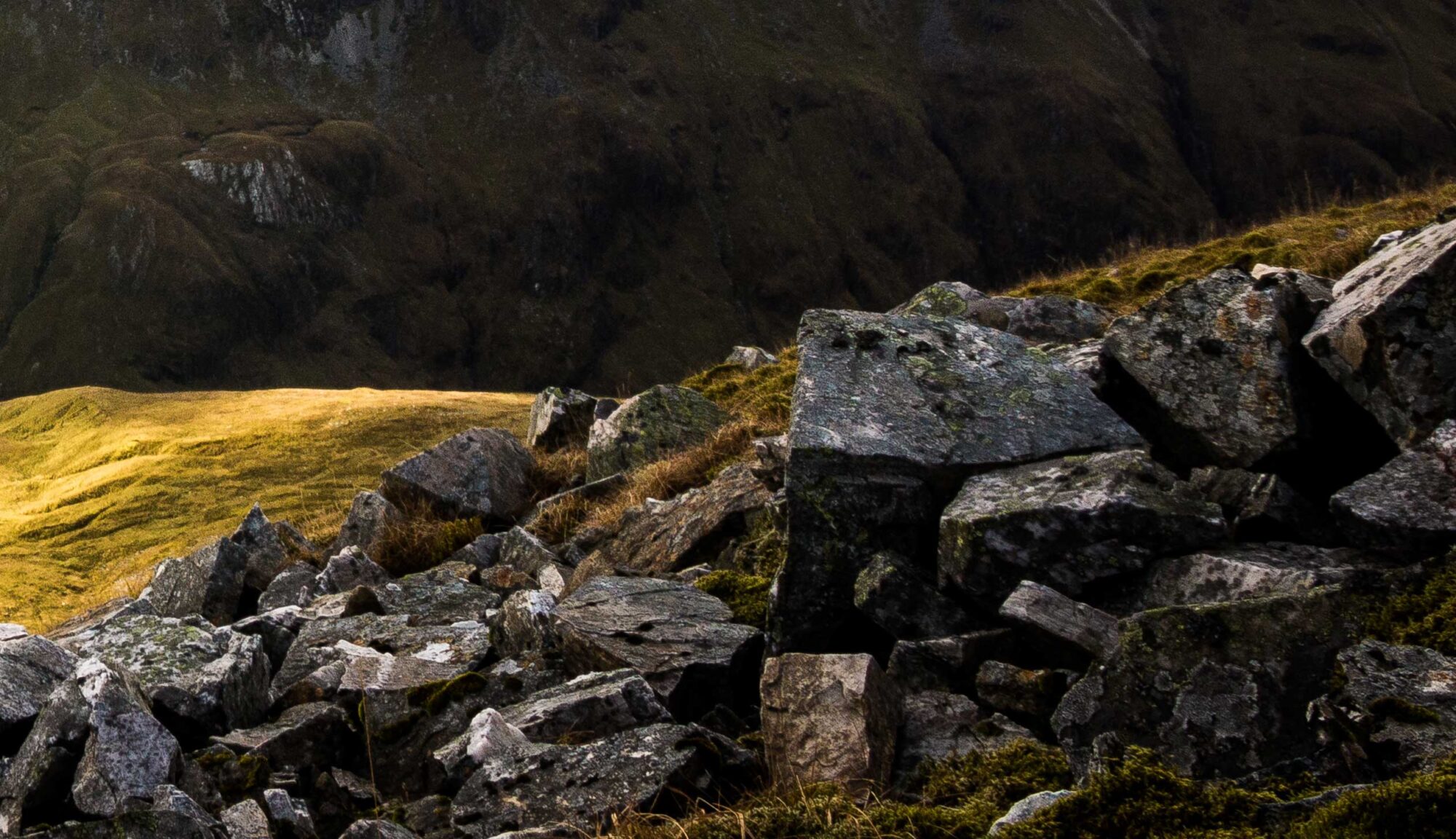 Rocks and grass